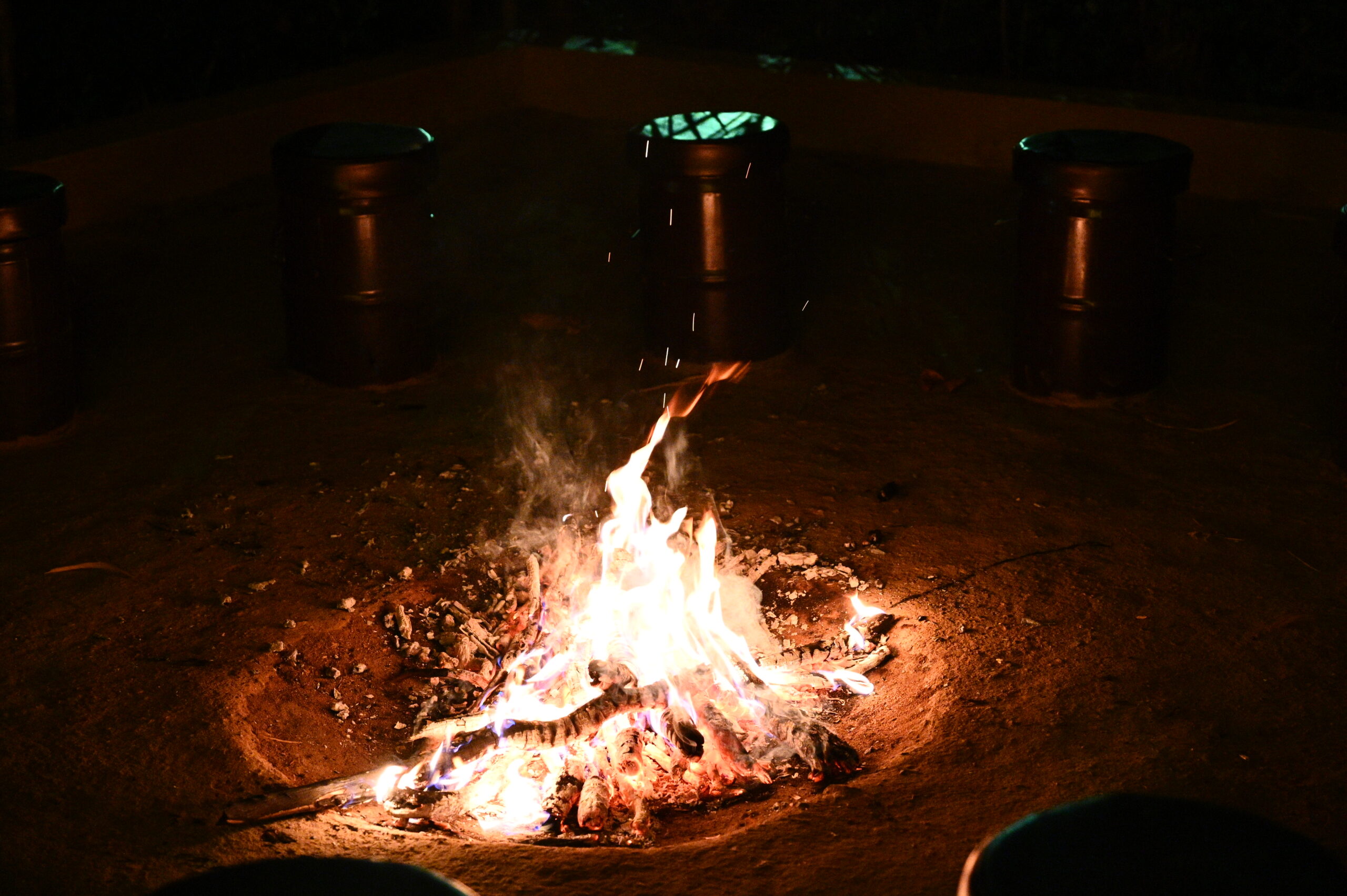 Cultural Immersions – Discover the soul of the region through local arts, folk performances, village visits, and storytelling by the fireside.