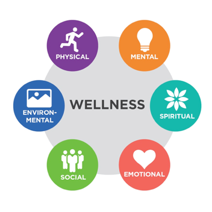 Wellness Retreats – Reconnect with yourself through yoga, meditation, and nature therapy in tranquil landscapes.
